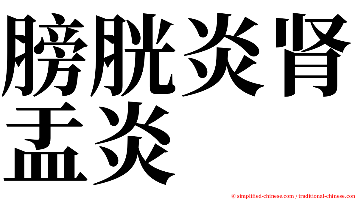 膀胱炎肾盂炎 serif font