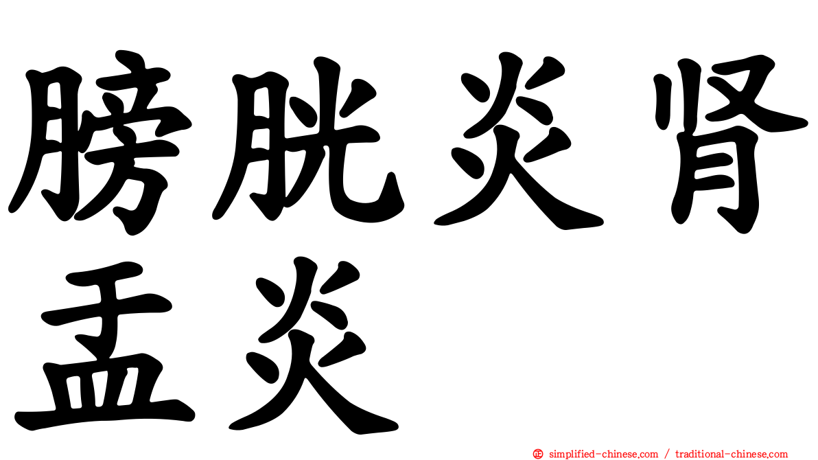 膀胱炎肾盂炎