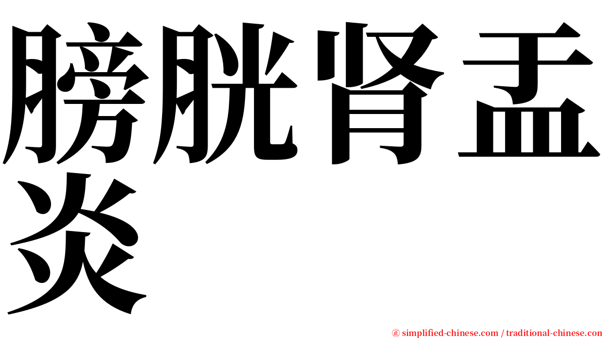 膀胱肾盂炎 serif font