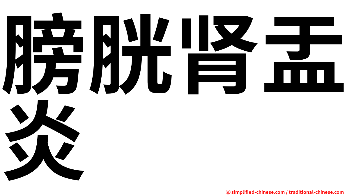 膀胱肾盂炎