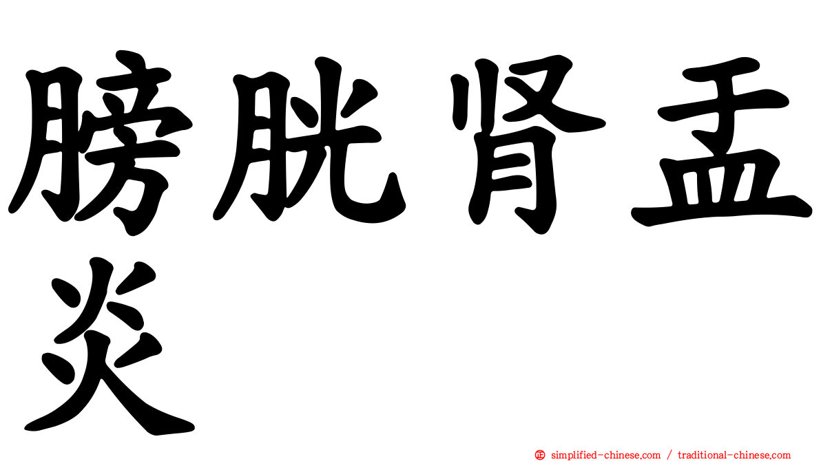 膀胱肾盂炎