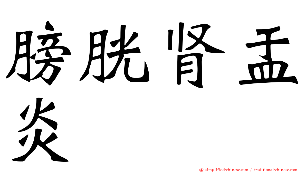 膀胱肾盂炎