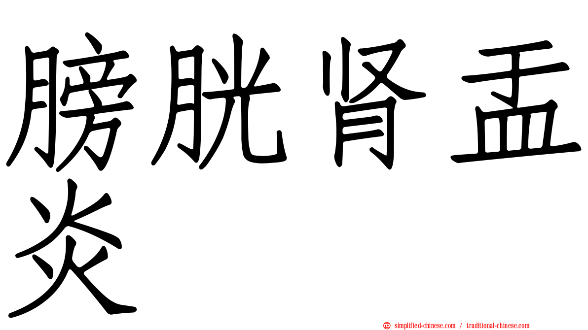 膀胱肾盂炎