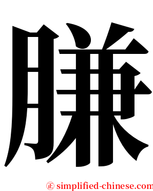 膁 serif font