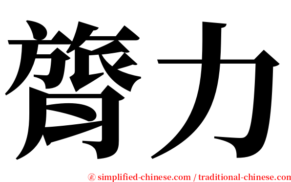 膂力 serif font