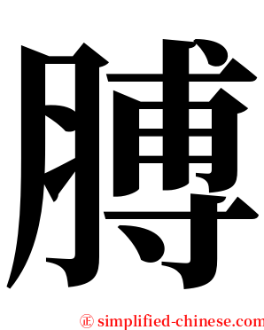 膊 serif font