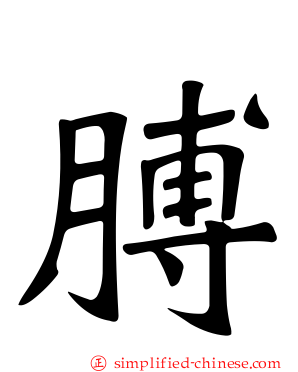 膊