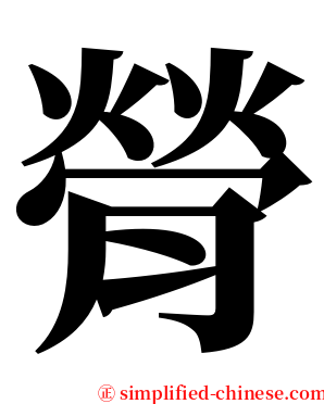 膋 serif font