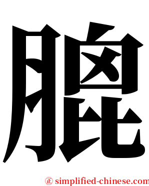 膍 serif font