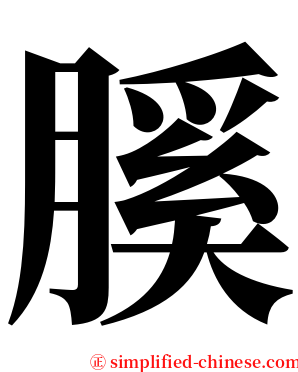 膎 serif font