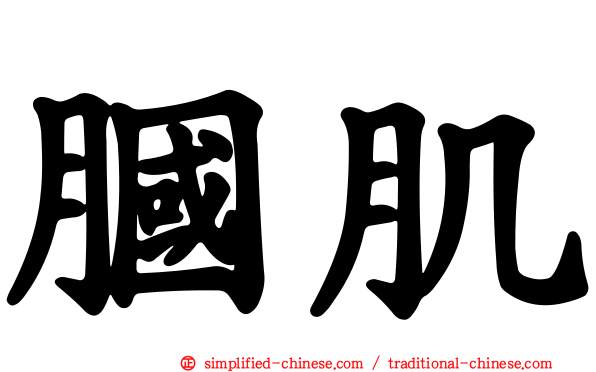 腘肌
