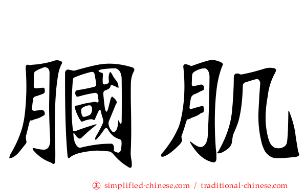 腘肌