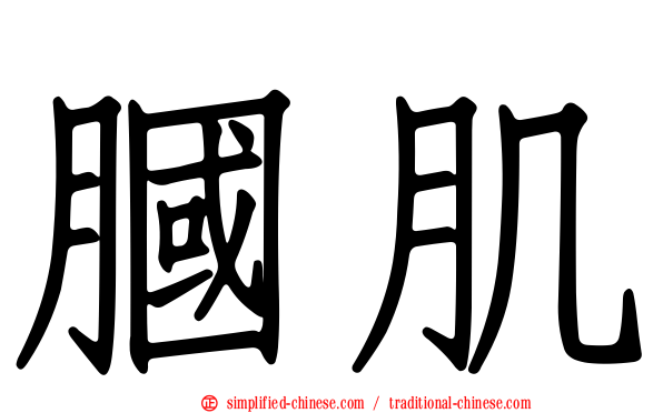 腘肌