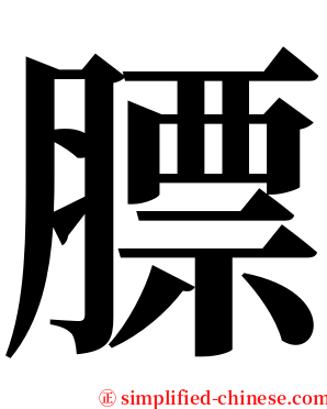 膘 serif font