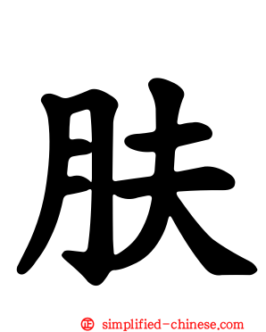 肤