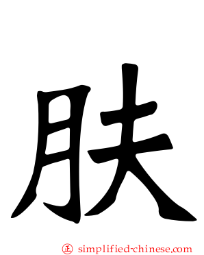肤