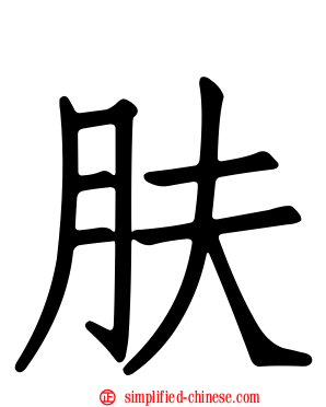 肤