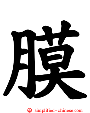 膜
