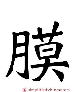 膜