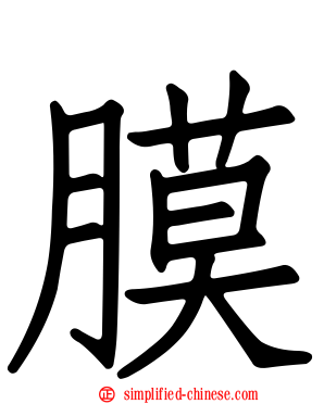 膜