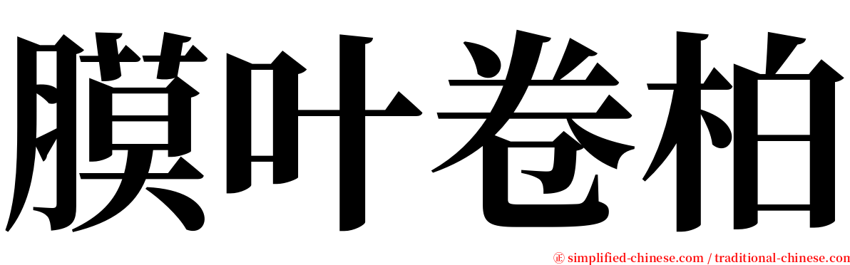 膜叶卷柏 serif font