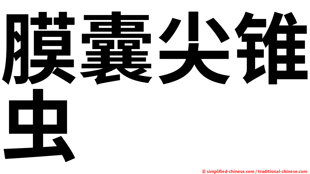 膜囊尖锥虫