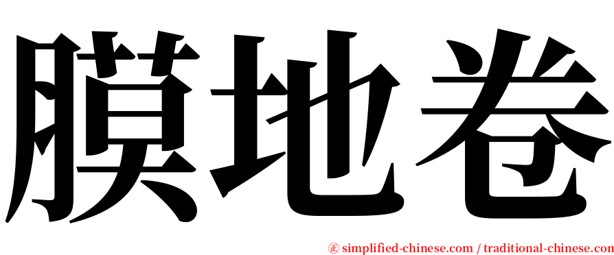 膜地卷 serif font