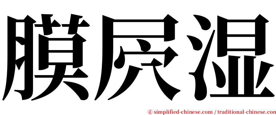膜屄湿 serif font