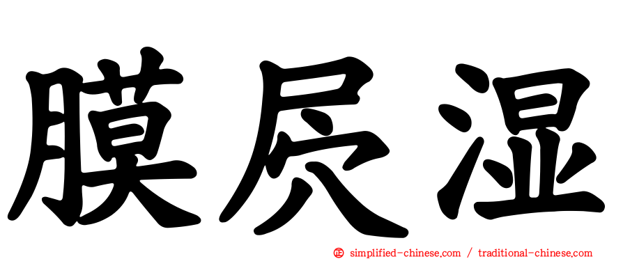 膜屄湿
