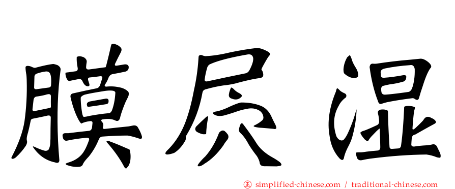 膜屄湿