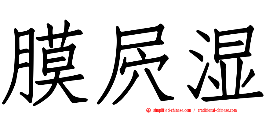 膜屄湿