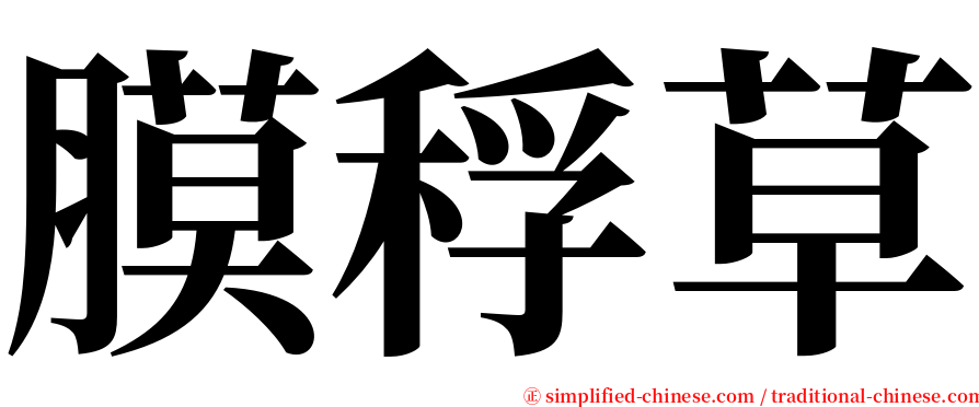 膜稃草 serif font