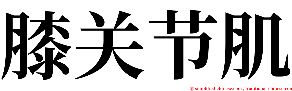 膝关节肌 serif font