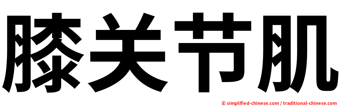 膝关节肌