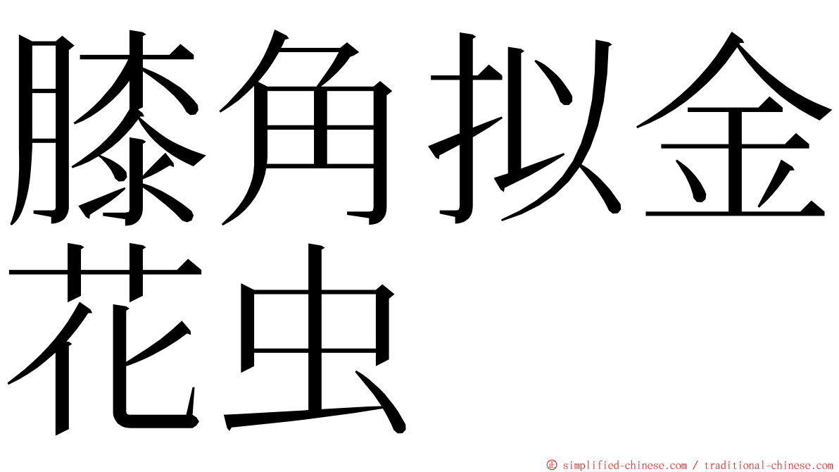 膝角拟金花虫 ming font