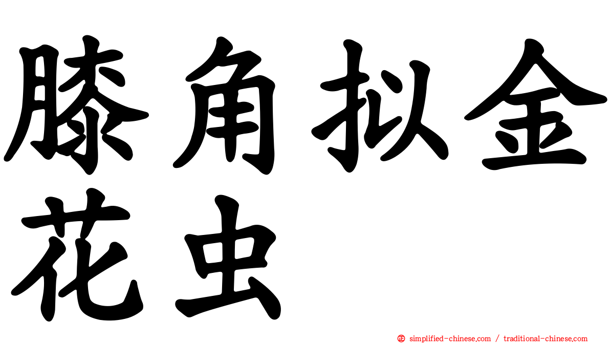 膝角拟金花虫