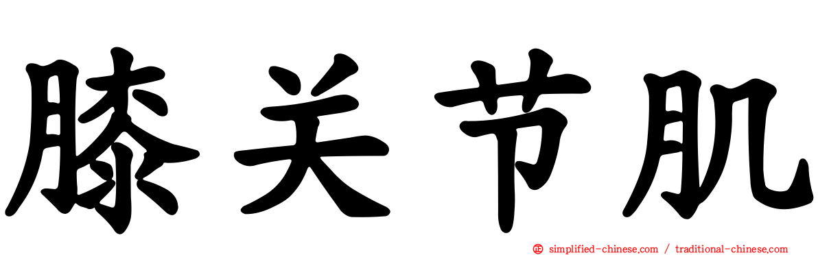 膝关节肌
