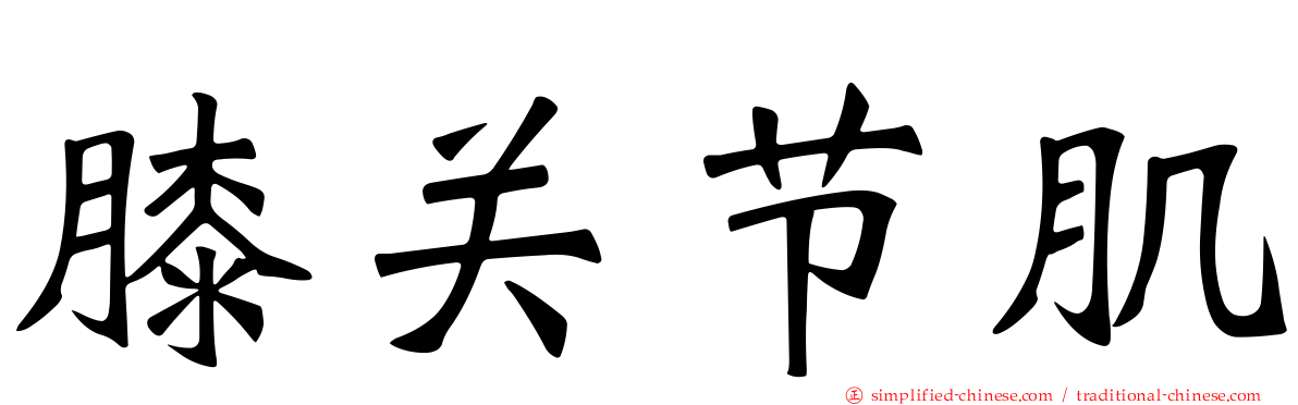 膝关节肌