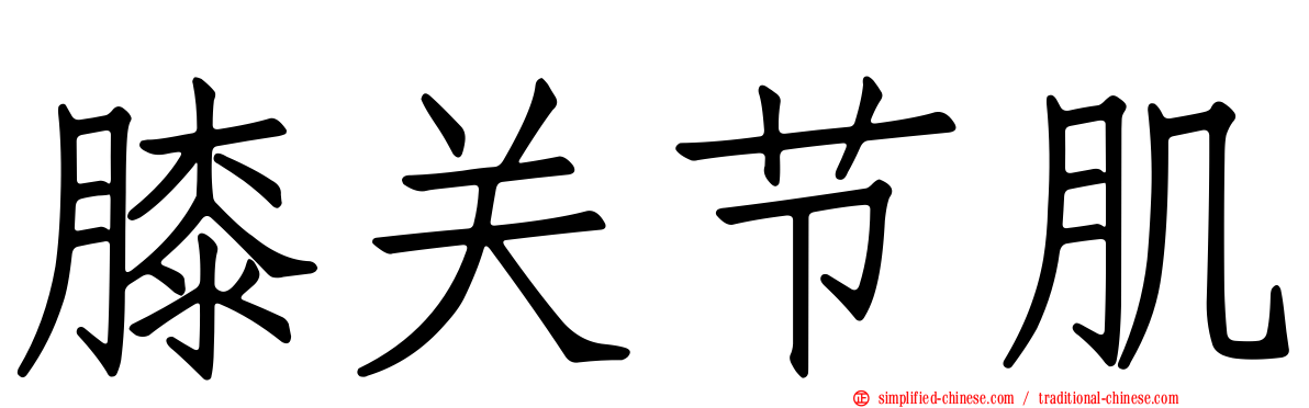 膝关节肌