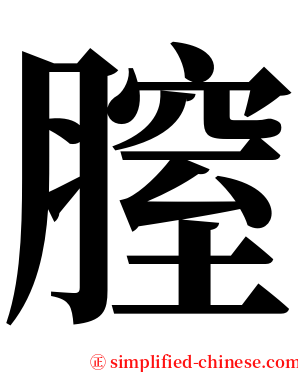 膣 serif font
