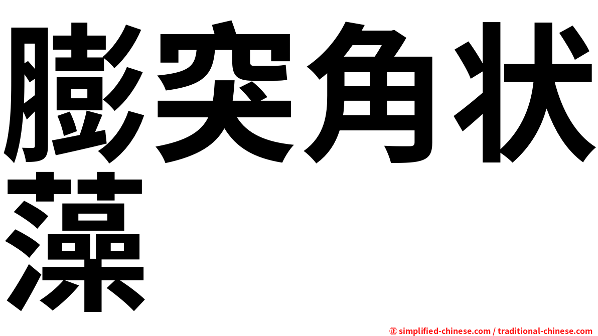 膨突角状藻