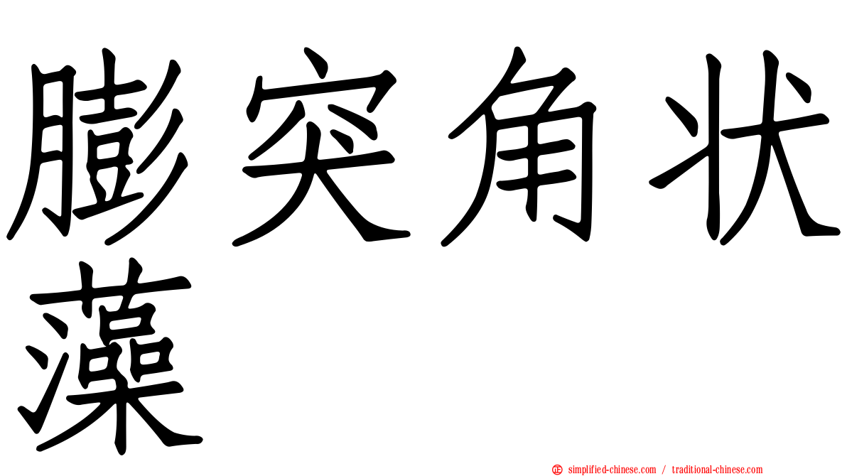 膨突角状藻
