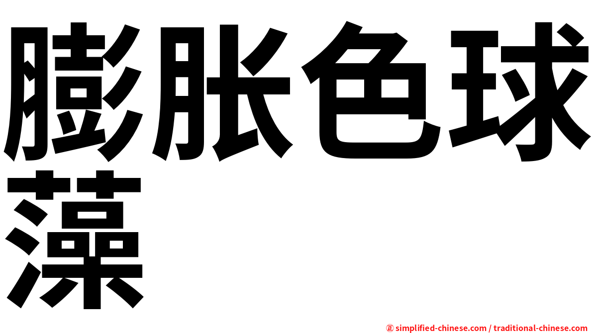 膨胀色球藻