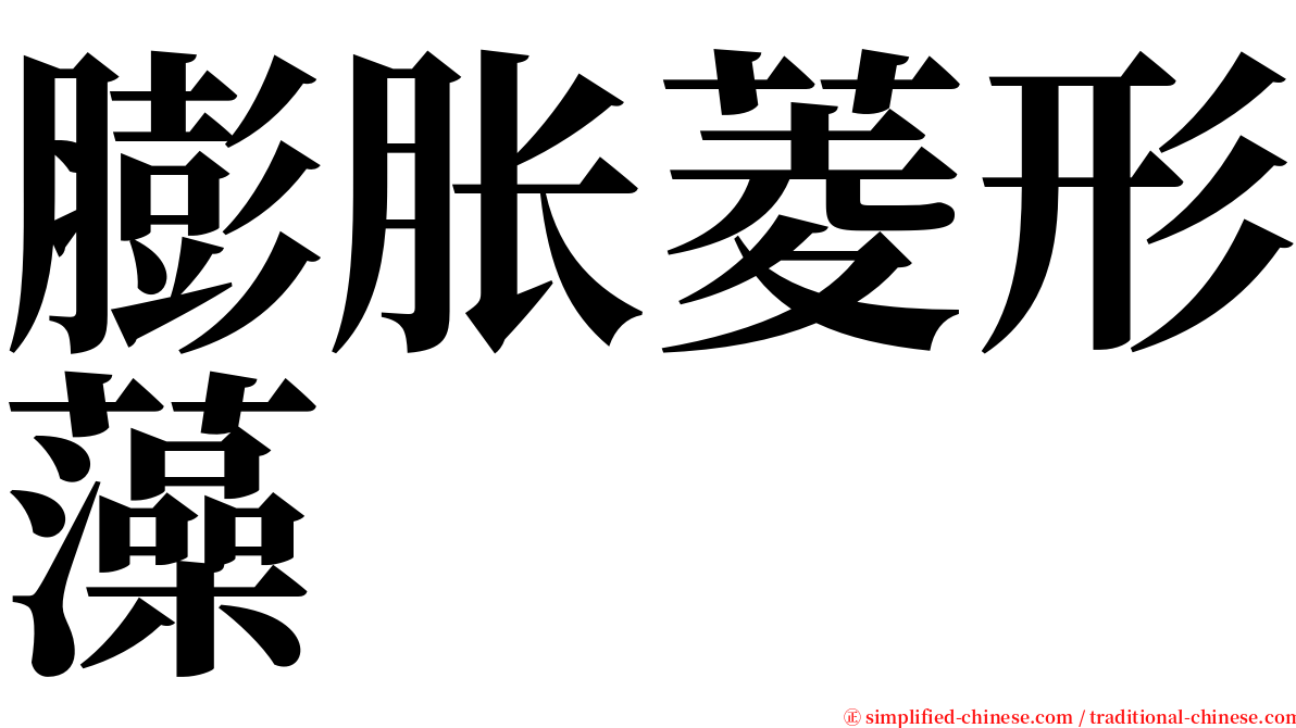 膨胀菱形藻 serif font