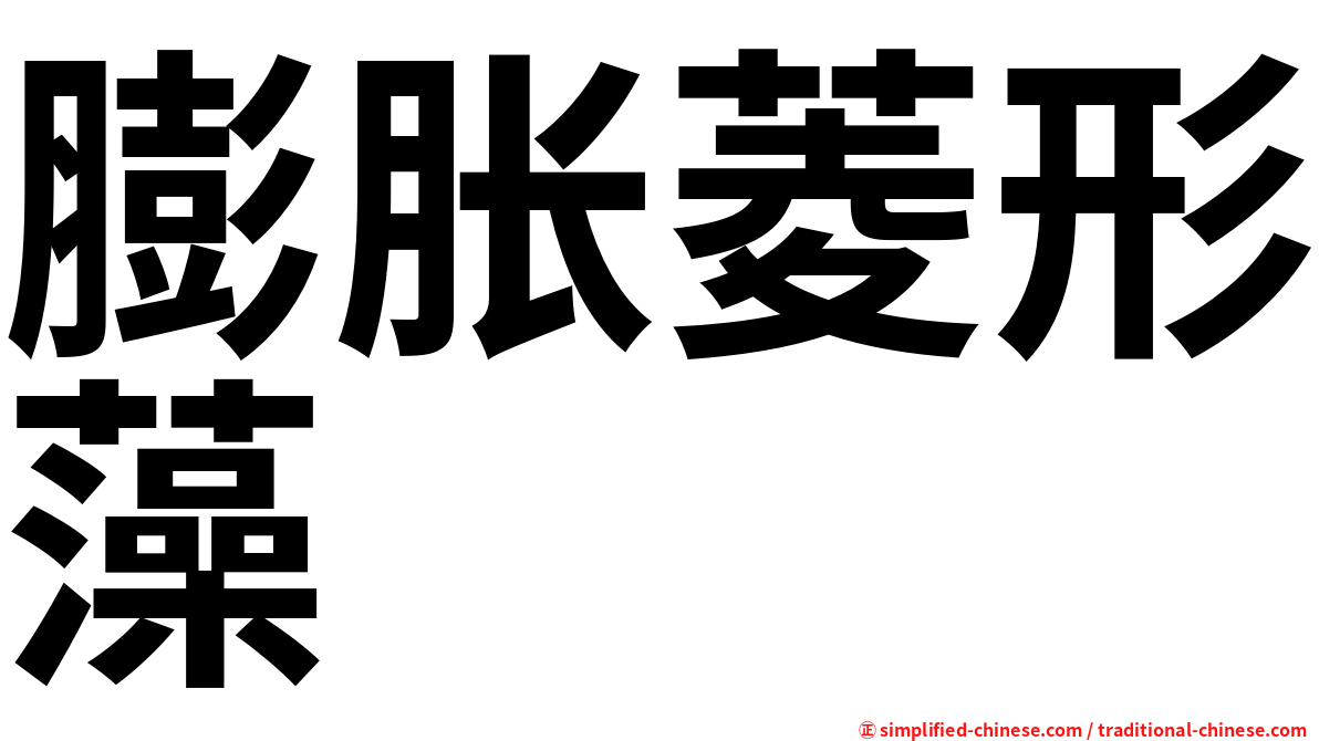 膨胀菱形藻
