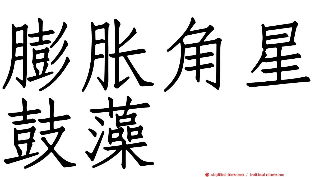 膨胀角星鼓藻