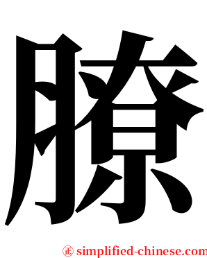 膫 serif font