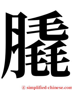 膬 serif font