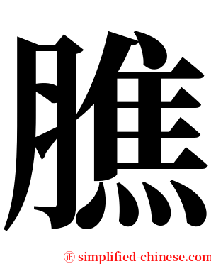 膲 serif font
