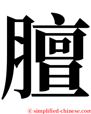 膻 serif font